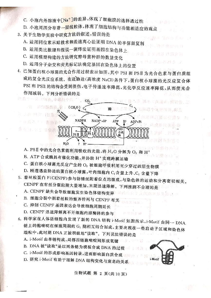 2021高三下學(xué)期學(xué)業(yè)水平等級考試（模擬）（臨沂一模）生物試題掃描版缺答案第2頁