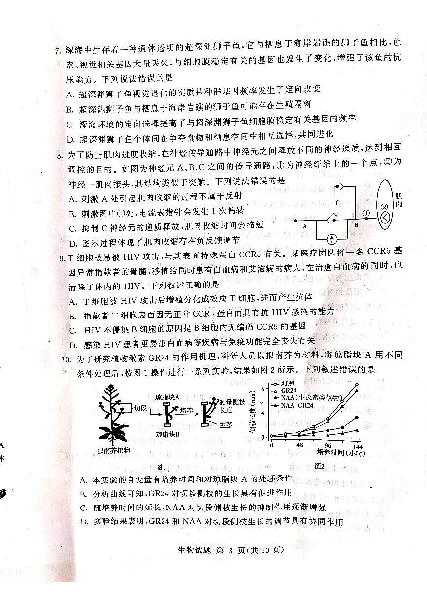 2021高三下學(xué)期學(xué)業(yè)水平等級考試（模擬）（臨沂一模）生物試題掃描版缺答案第3頁