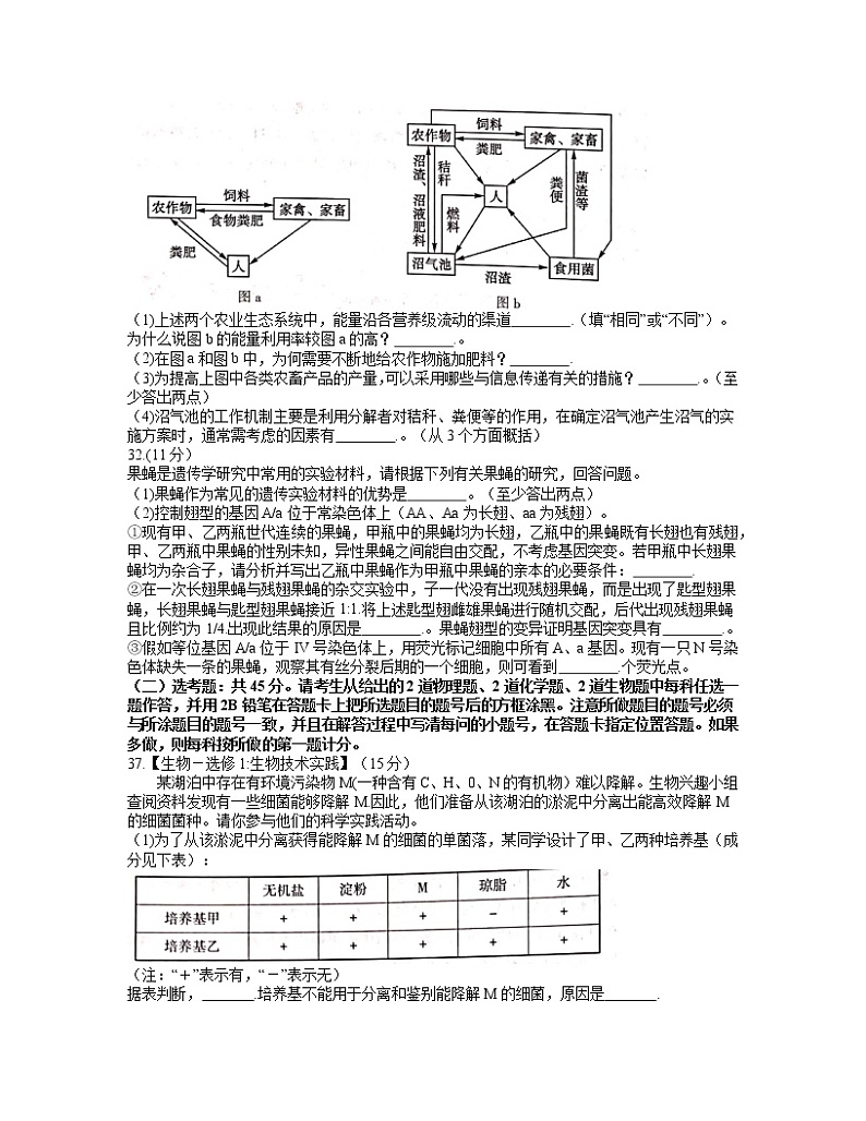 2021河南省高三下学期3月普通高中毕业班高考适应性测试理科综合生物试题含答案第3页