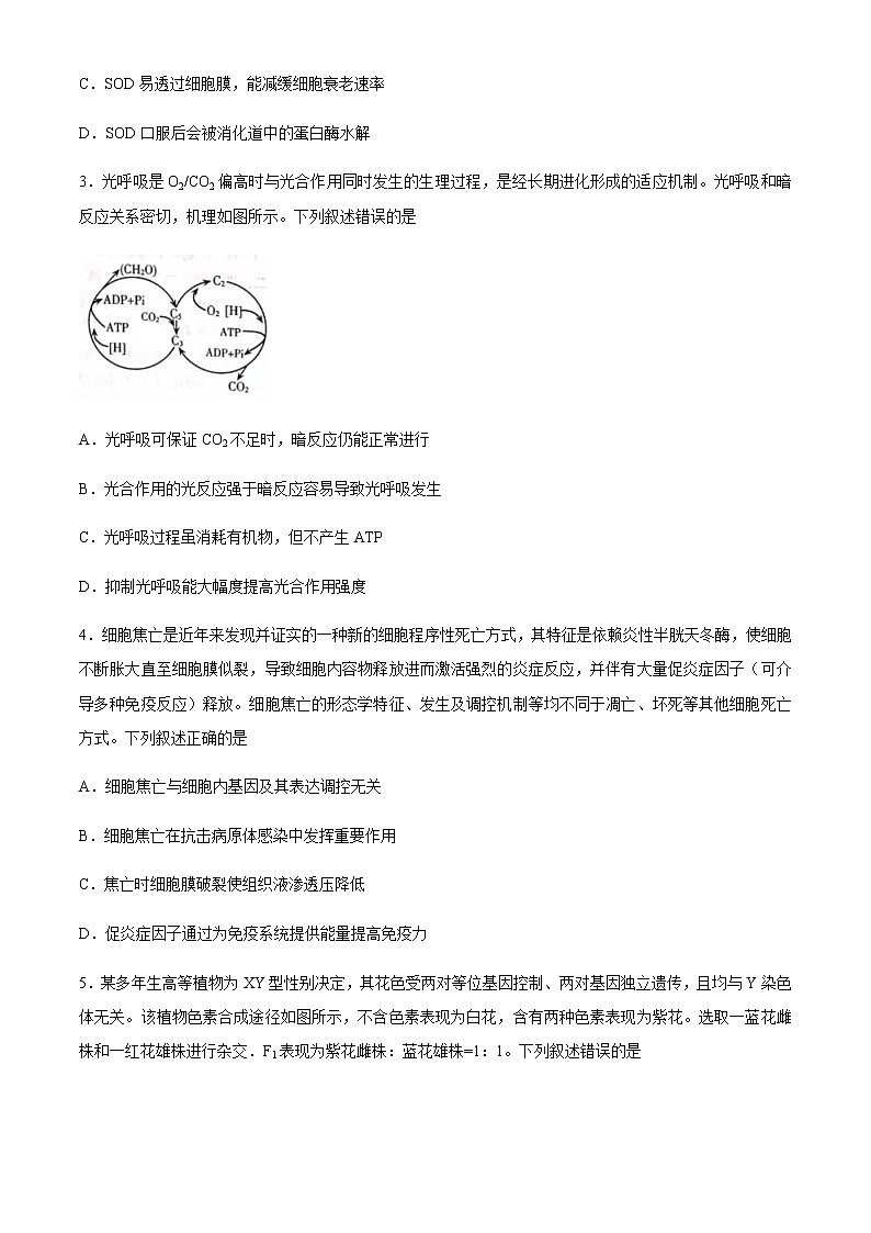 2021潍坊高三下学期3月一模考试生物试题含答案02