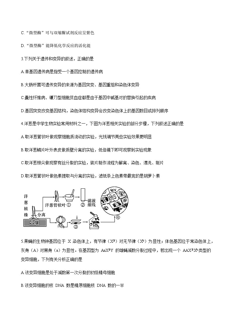 2021大连(金普新区)高三下学期双基测试生物试题含答案第2页