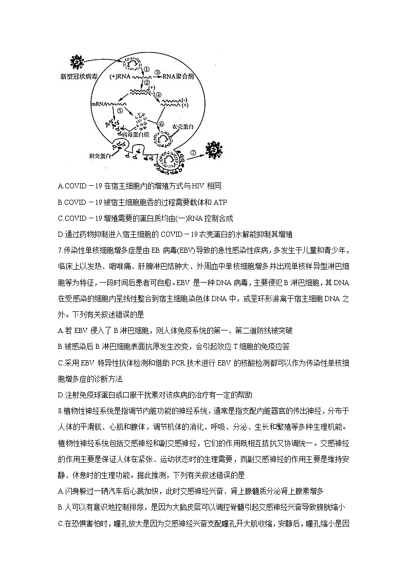 2021济南高三上学期期末考试生物含答案03