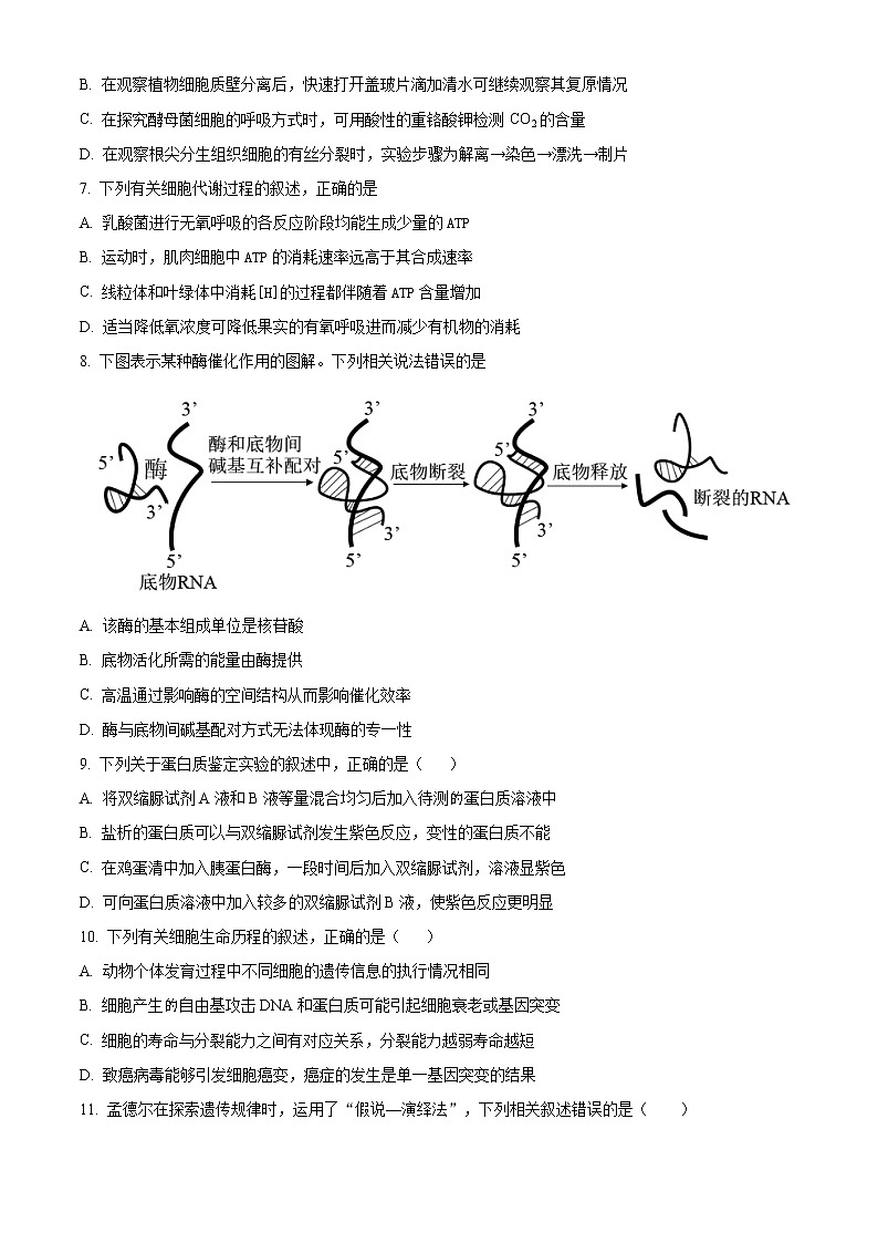 2021赣州高三上学期期末考试生物试题含答案第2页