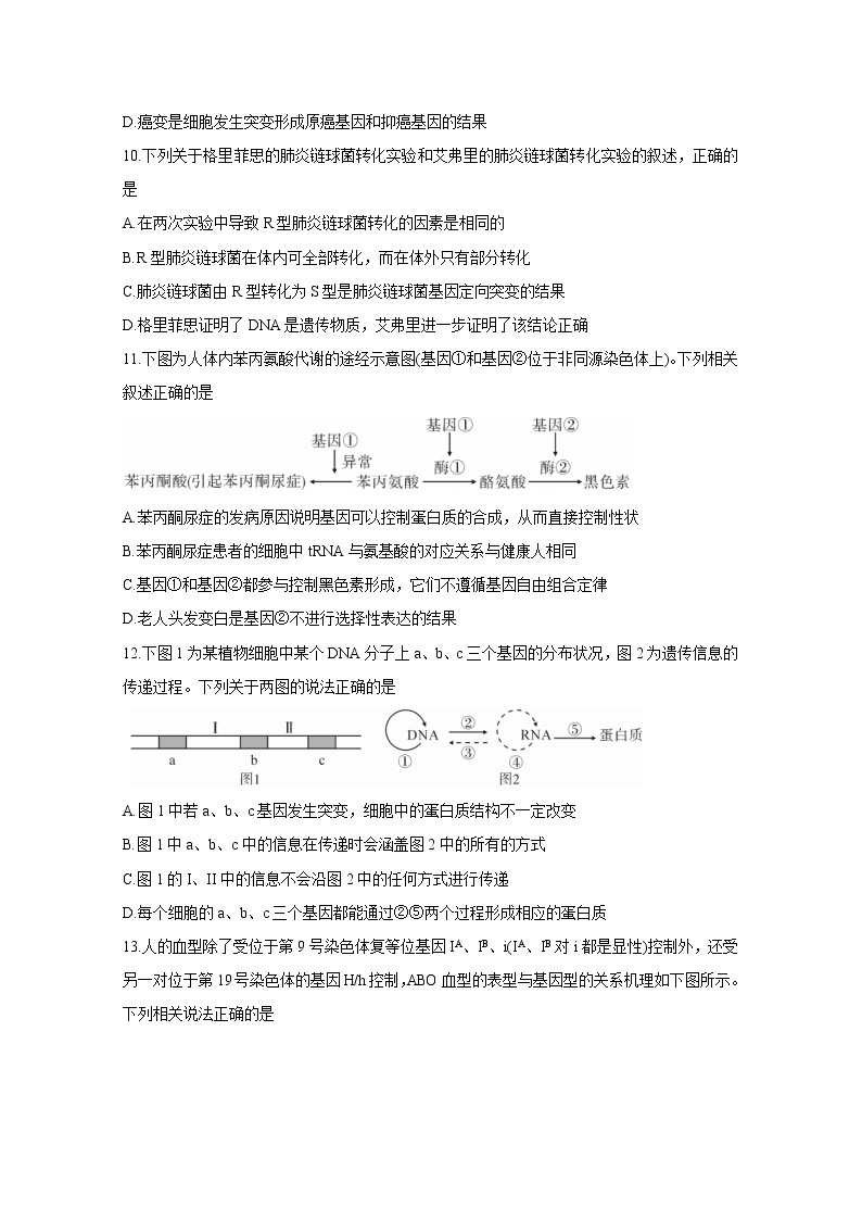 2021吉安高三上学期期末生物含答案 试卷03