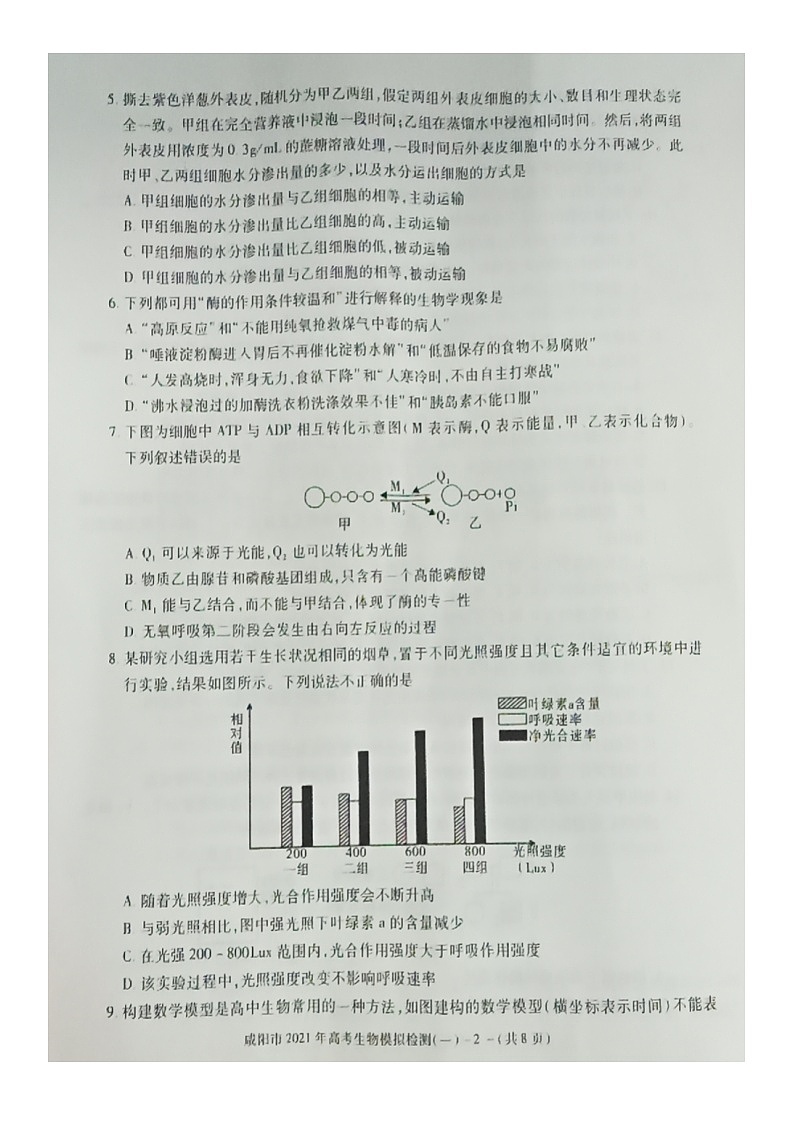 2021咸阳高三上学期高考模拟检测(一)生物试题图片版含答案02
