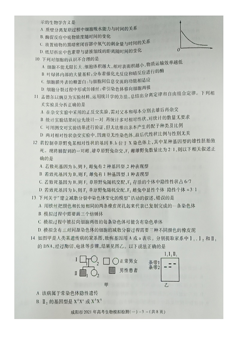 2021咸阳高三上学期高考模拟检测(一)生物试题图片版含答案03