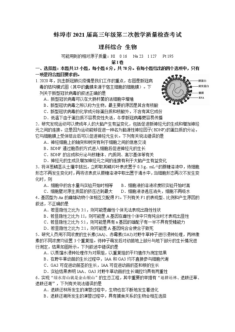 2021蚌埠高三上学期第二次教学质量检查考试(二模)理综生物试题含答案01