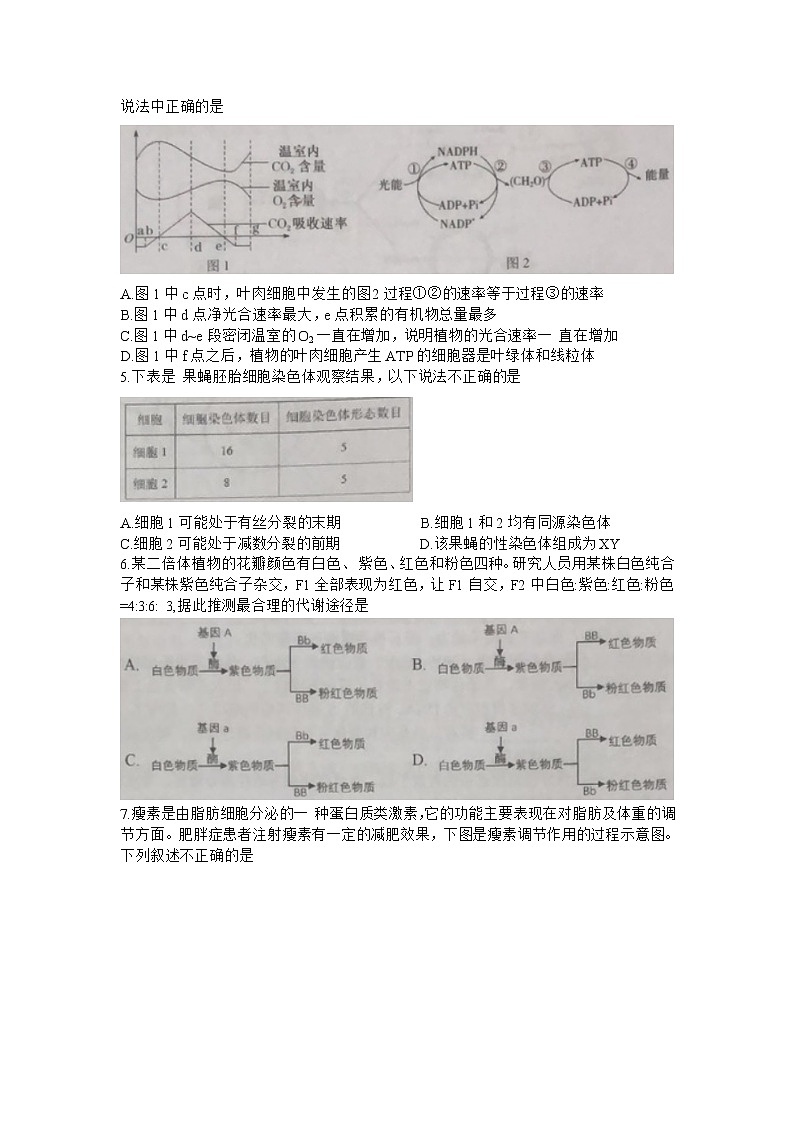 2021天津市滨海七所重点学校高三上学期期末考试生物试卷含答案02
