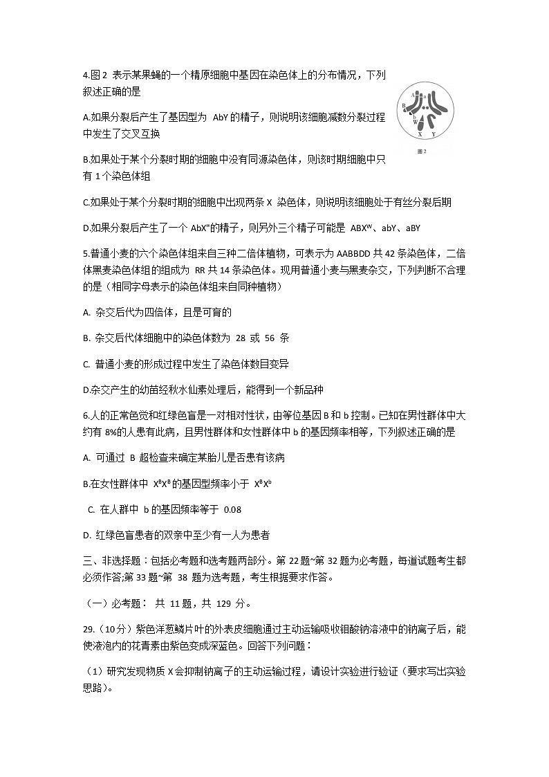 2021云南师大附中高三高考适应性月考卷(六)理科综合生物试题含答案02