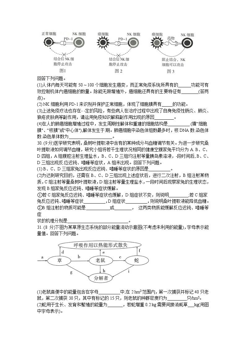 2021昆明一中高三上学期第四次一轮复习检测理科综合生物试题含答案第2页