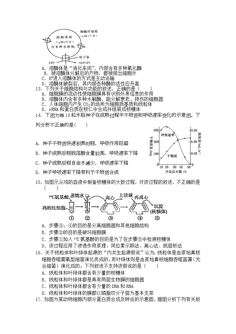 2021晉中祁縣中學(xué)高三上學(xué)期9月月考生物試卷（復(fù)習(xí)班）含答案第3頁(yè)