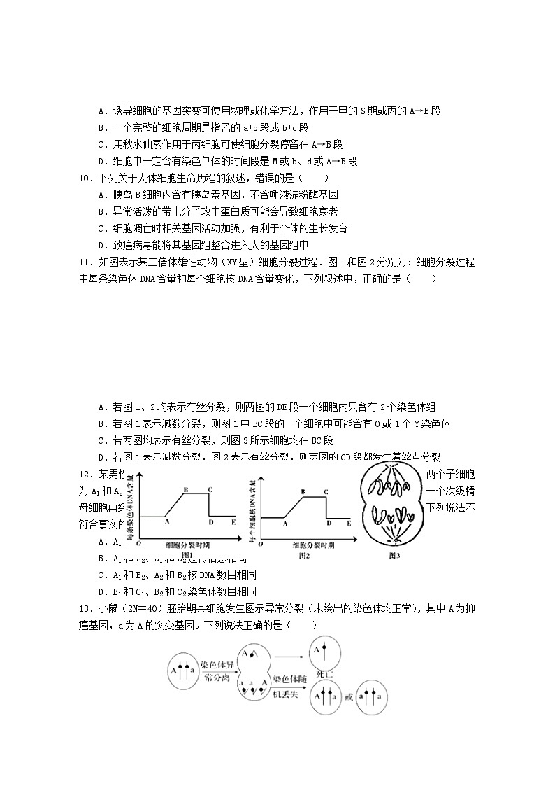 2021信阳罗山县高三上学期第二次调研考试生物试题含答案03