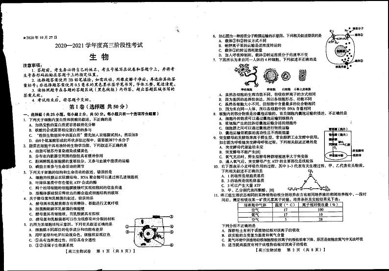 2021灵宝一中高三上学期阶段性考试生物试卷扫描版含答案第1页