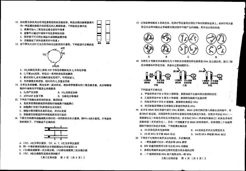 2021灵宝一中高三上学期阶段性考试生物试卷扫描版含答案第2页