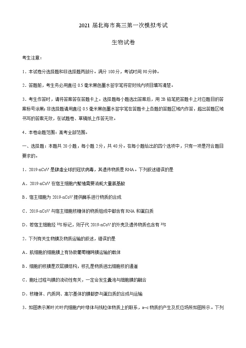 2021北海高三第一次模拟考试生物试题含答案第1页