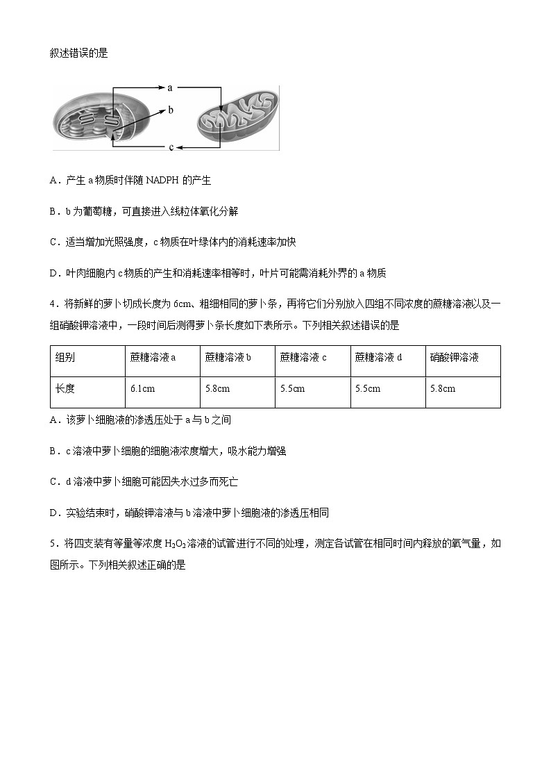 2021北海高三第一次模拟考试生物试题含答案第2页