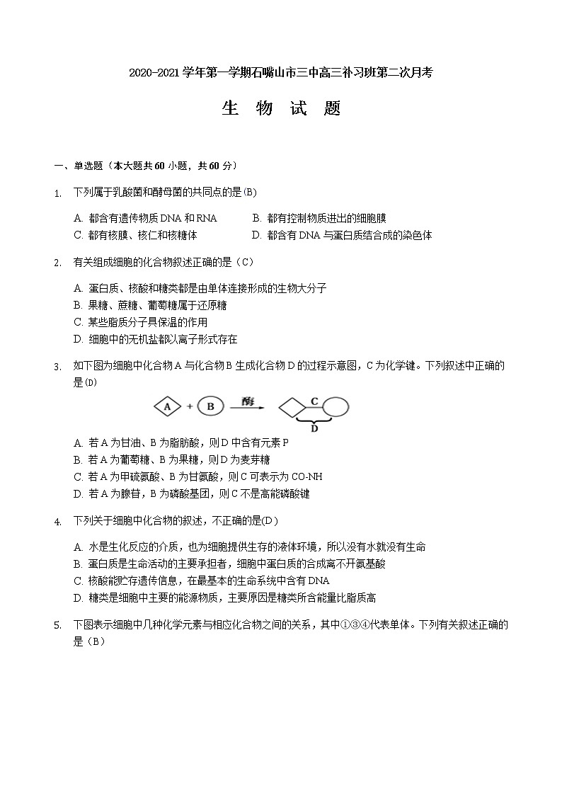2021石嘴山三中高三上学期第二次月考生物试题(补习班)含答案第1页