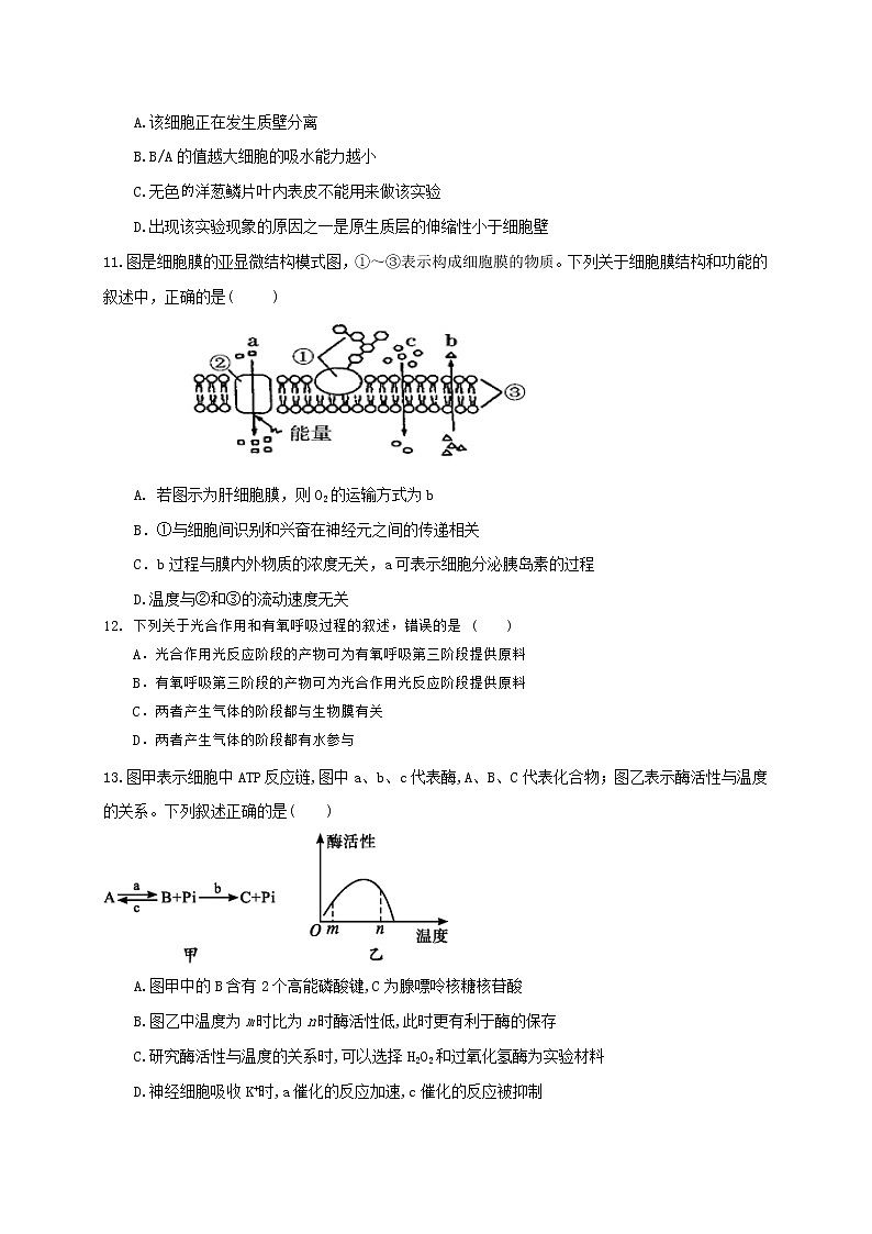 2021宁夏海原一中高三上学期第二次月考生物试题含答案第3页
