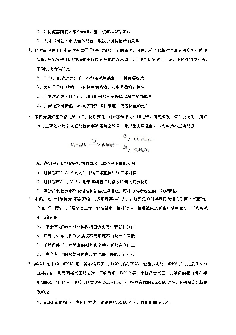 2021青島膠州高三上學(xué)期期中考試生物試題含答案第2頁