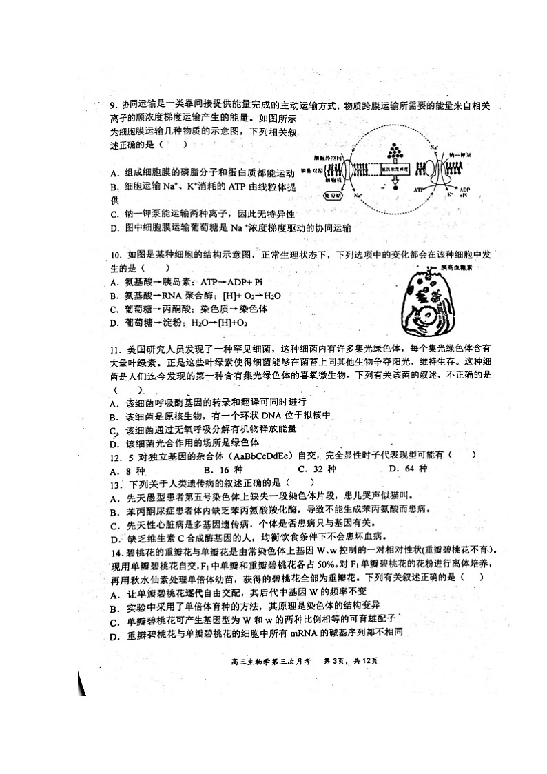 2021赤峰二中高三第三次月考生物试题扫描版含答案03