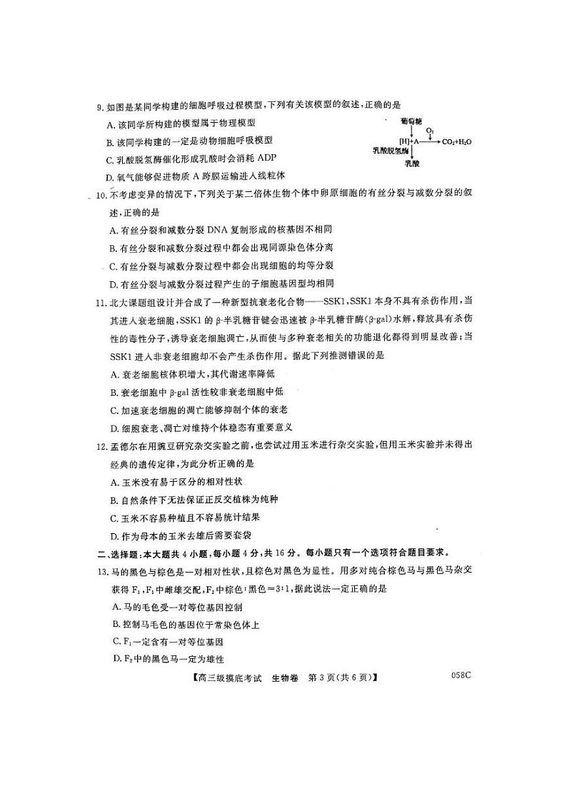 清远市2021届高三摸底考试(11月)-生物第3页