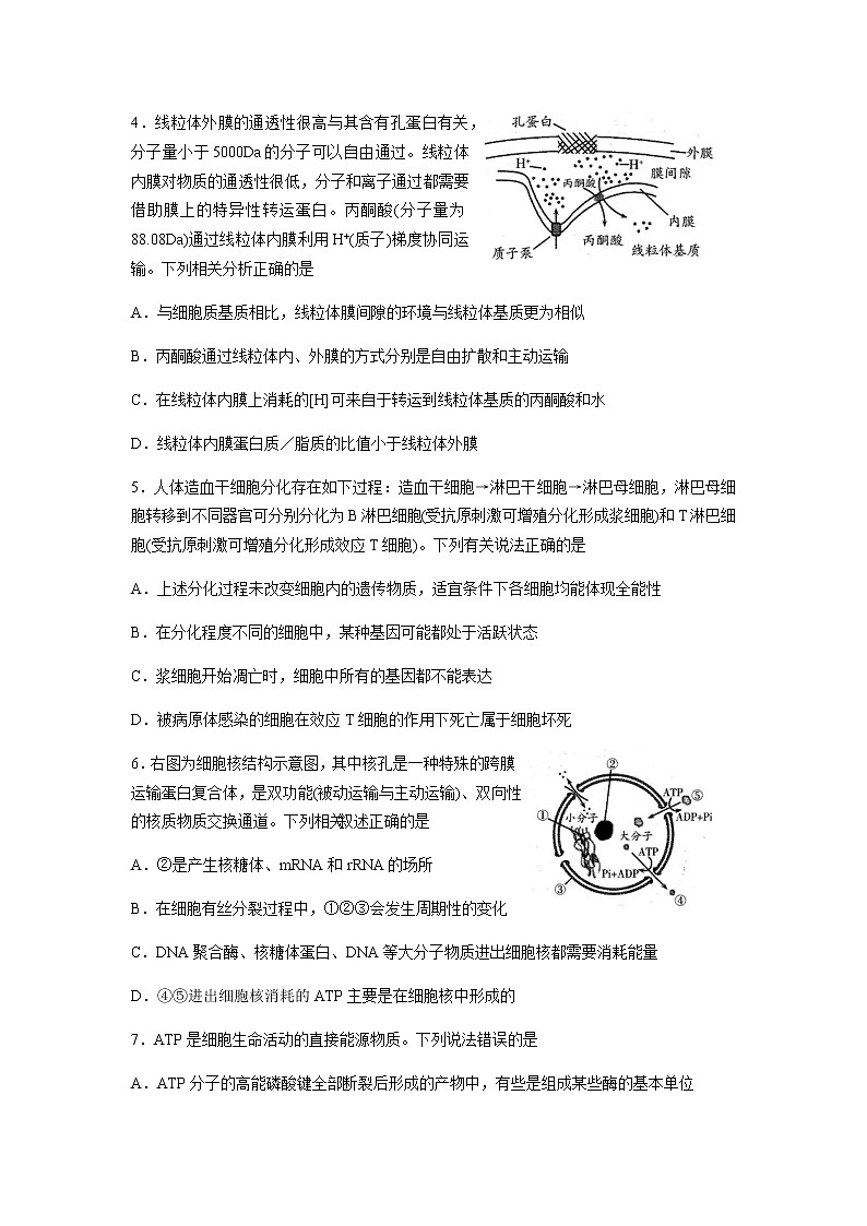 试题第3页