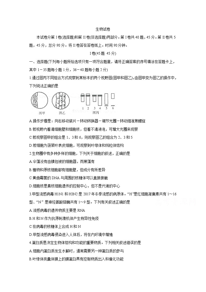 2021衡水中学高三上学期期中考试生物含答案01