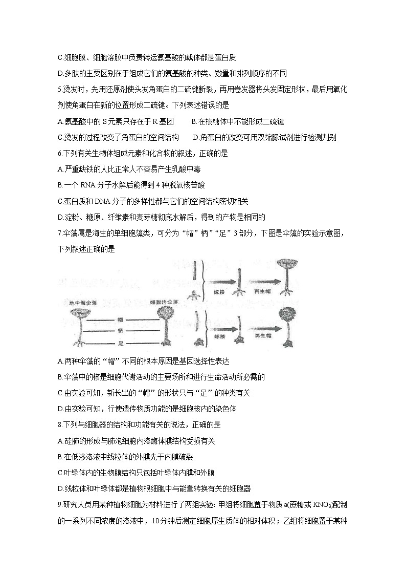 2021衡水中学高三上学期期中考试生物含答案02