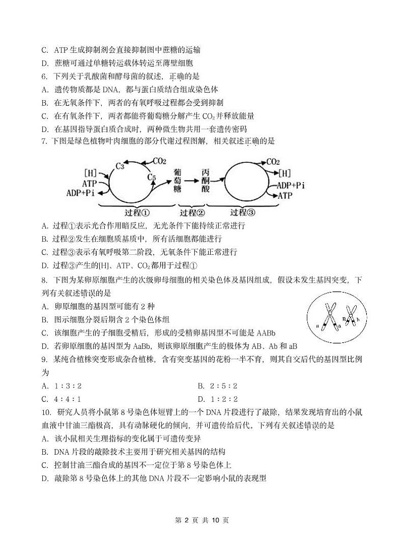 2021江苏省马坝高级中学高三上学期期中考试生物试题(可编辑)PDF版含答案02