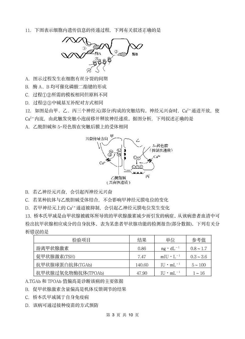 2021江苏省马坝高级中学高三上学期期中考试生物试题(可编辑)PDF版含答案03