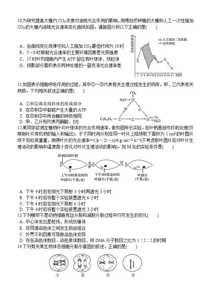 试题第3页