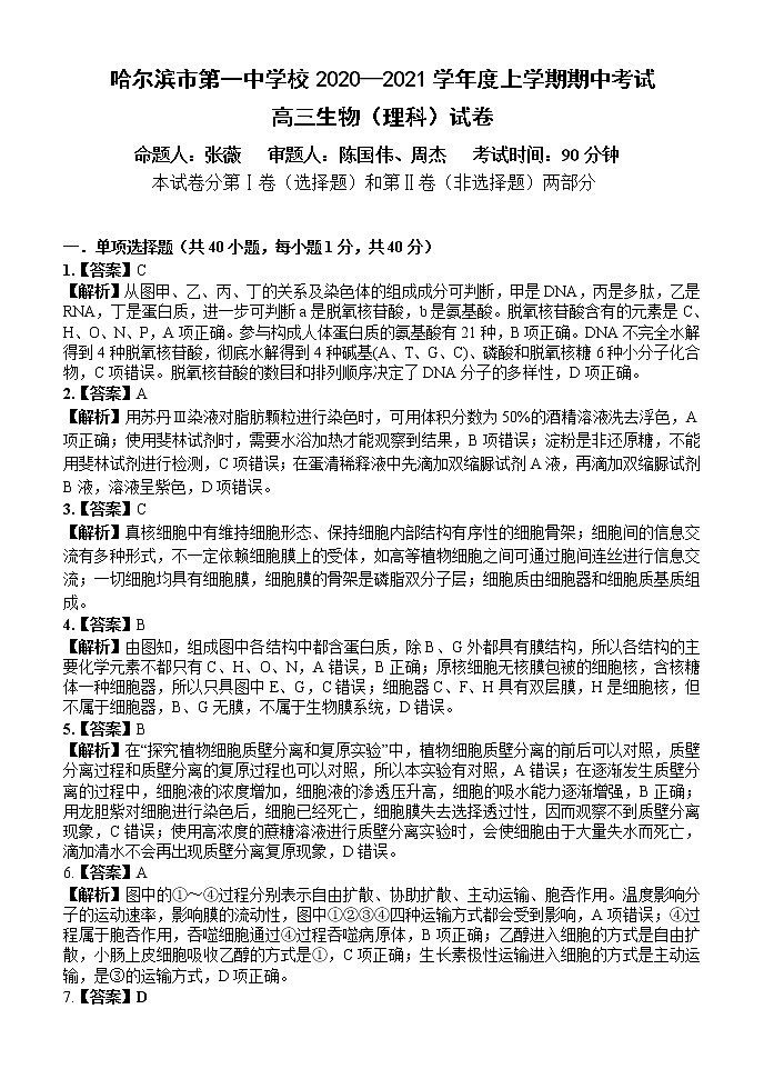 详答第1页