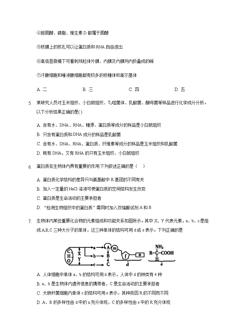 2021石嘴山三中高三上学期期中考试生物试题(补习班)含答案第2页