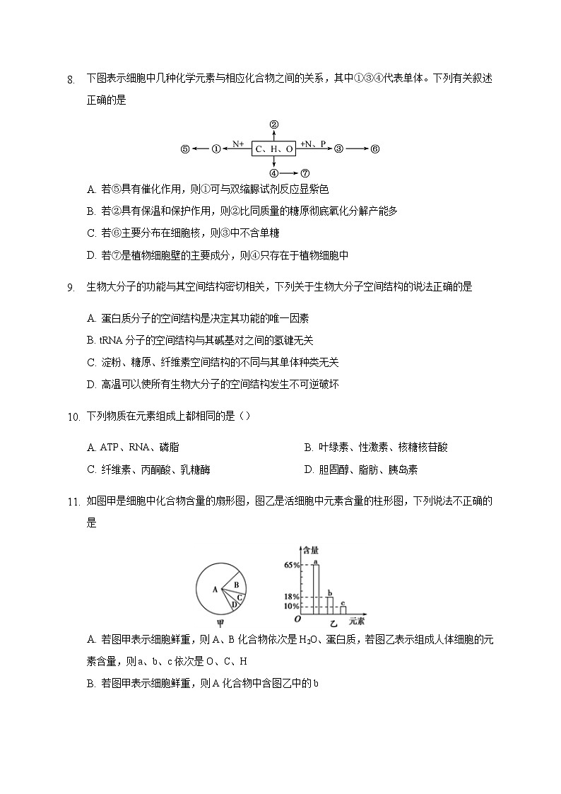 2021石嘴山三中高三上学期期中考试生物试题(补习班)含答案第3页