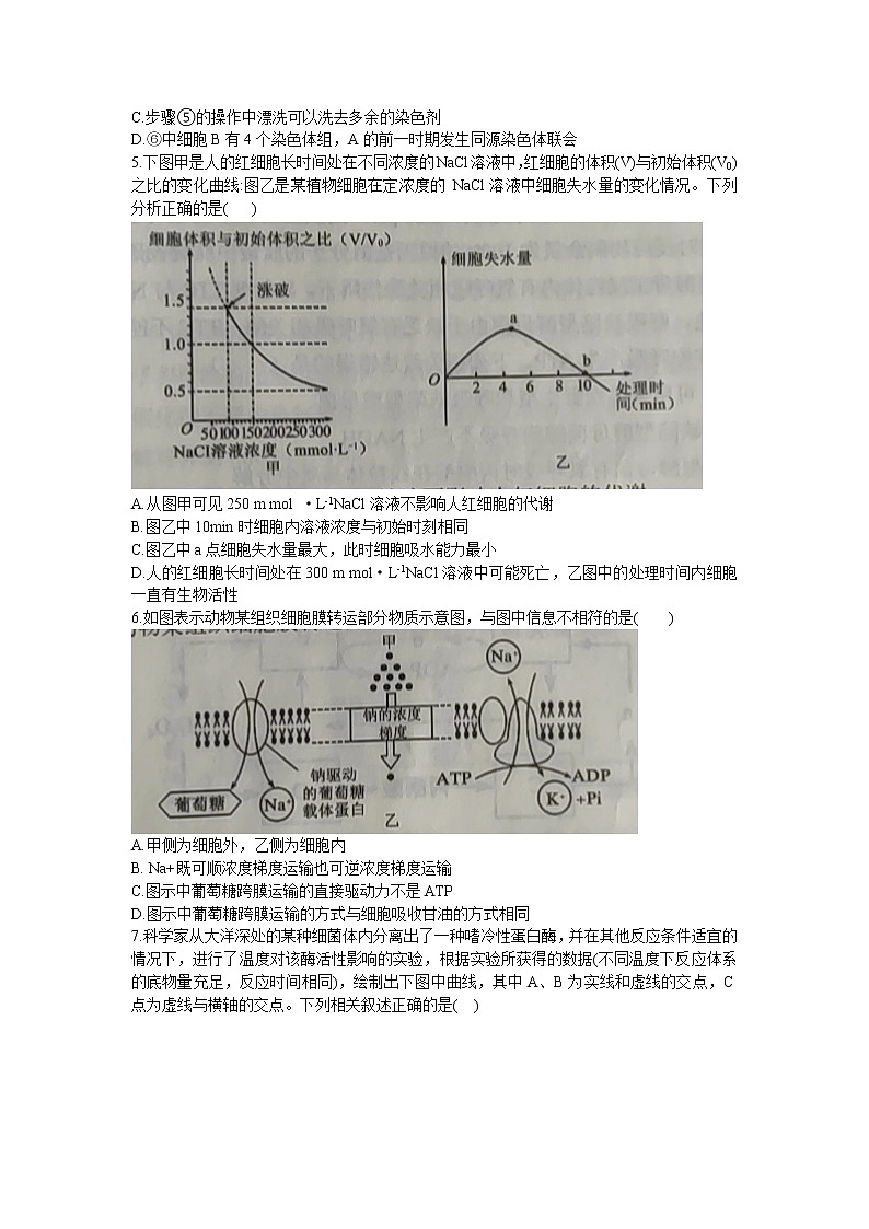 2021沈阳郊联体高三上学期期中考试生物试题含答案第2页