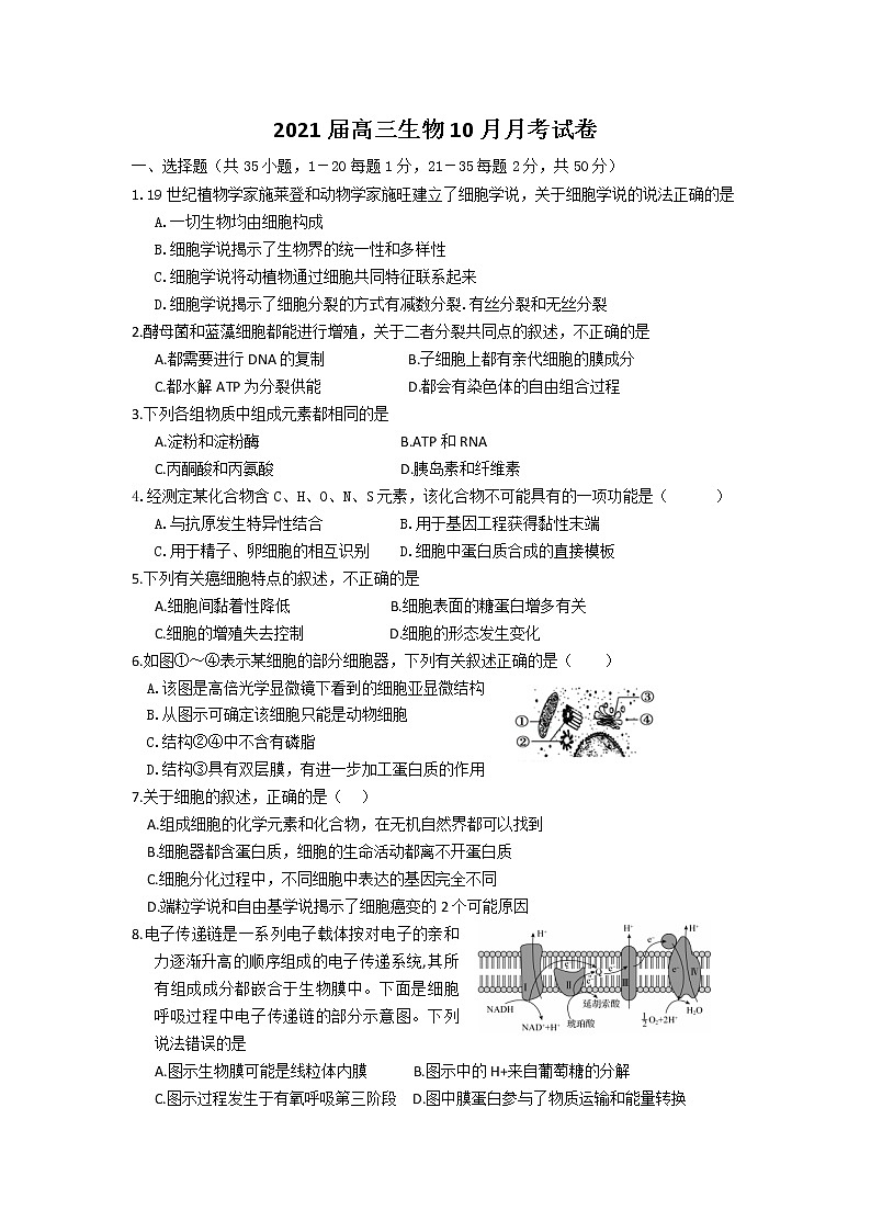 2021厦门湖滨中学高三10月月考生物试题含答案01