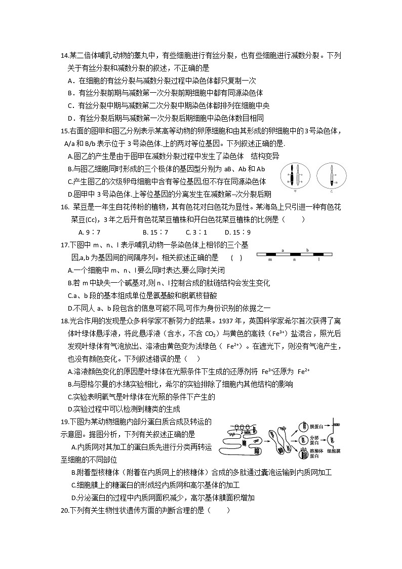 2021厦门湖滨中学高三10月月考生物试题含答案03