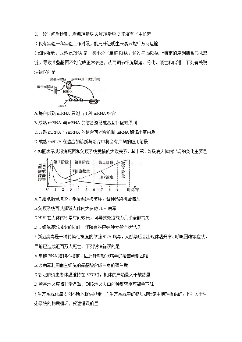 2021南宁普通高中高三10月摸底测试生物含答案02
