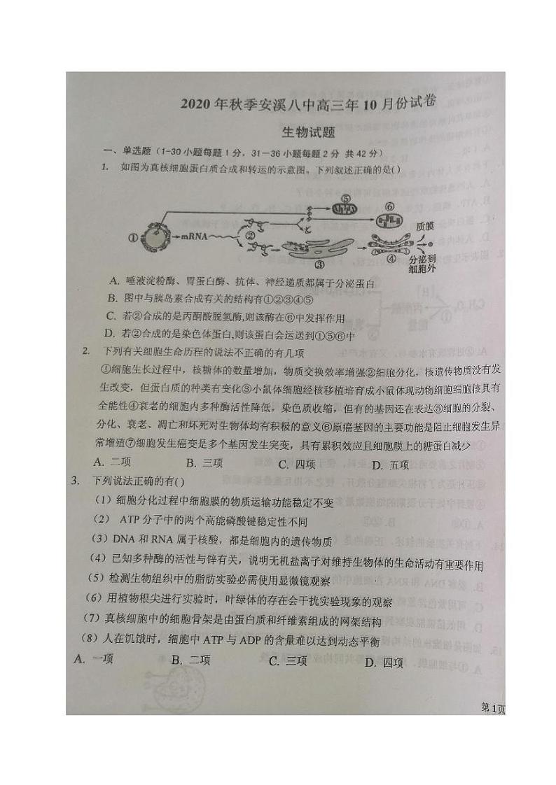 2021泉州安溪八中高三10月质量检测生物试题图片版缺答案第1页