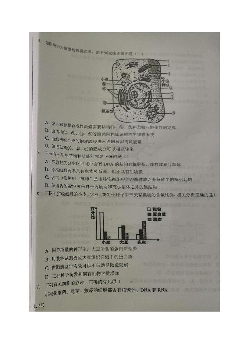 2021泉州安溪八中高三10月质量检测生物试题图片版缺答案第2页
