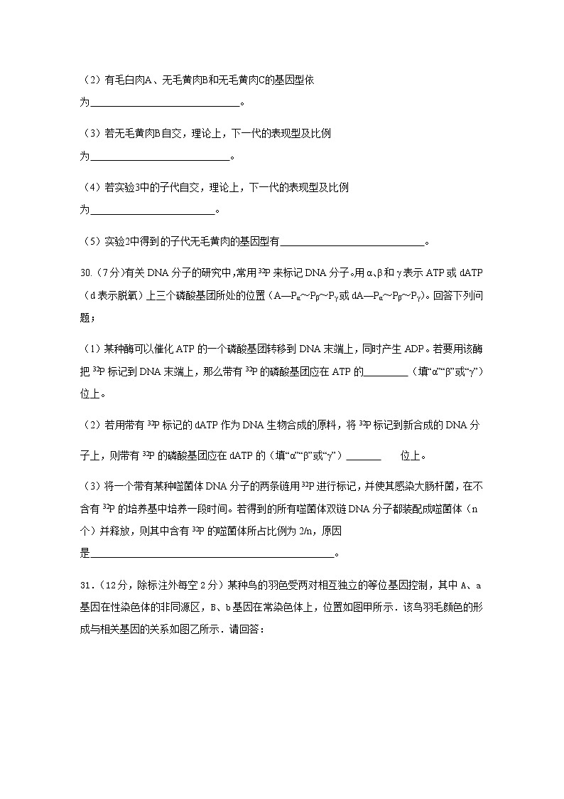 2021四川省仁寿二中高三上学期第二次月考(10月)理综-生物试题含答案03