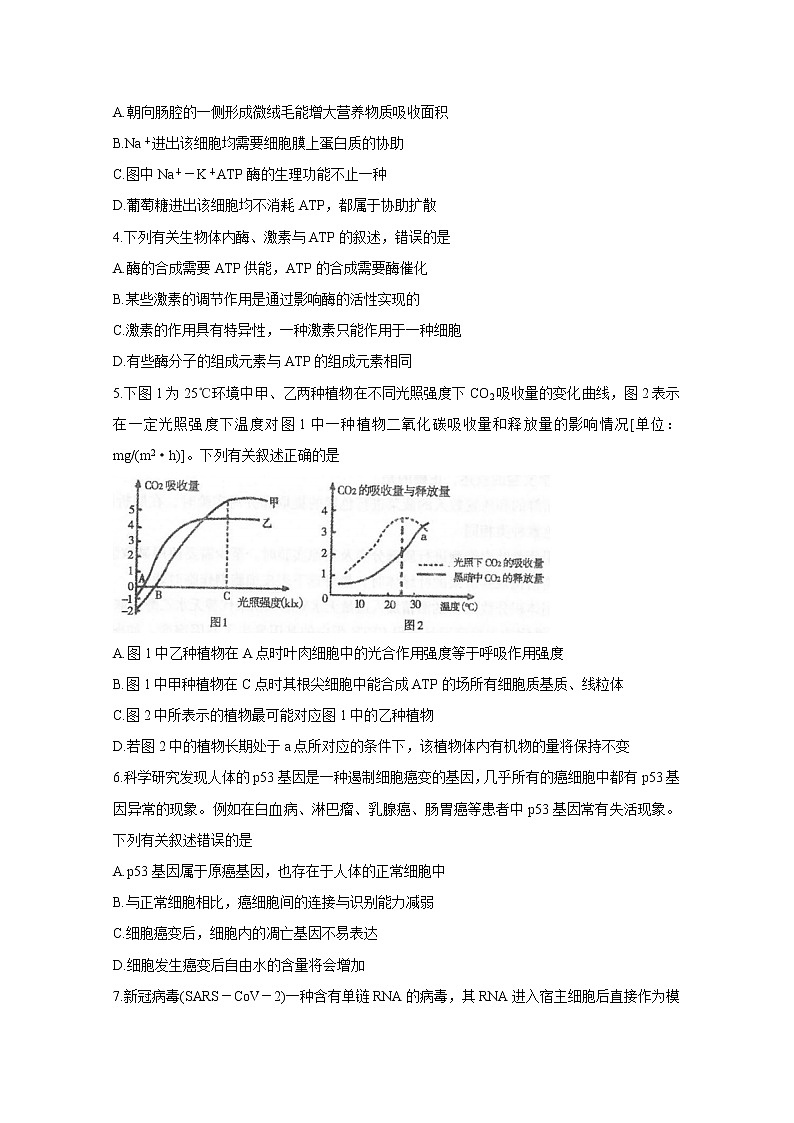 2021常熟高三上学期阶段性抽测一试题生物含答案第2页
