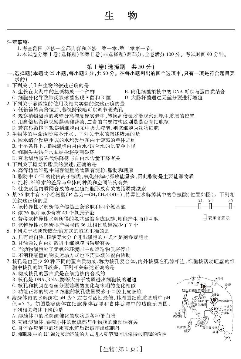 2021涡阳县育萃高级中学高三上学期10月月考生物试卷PDF版含答案第1页