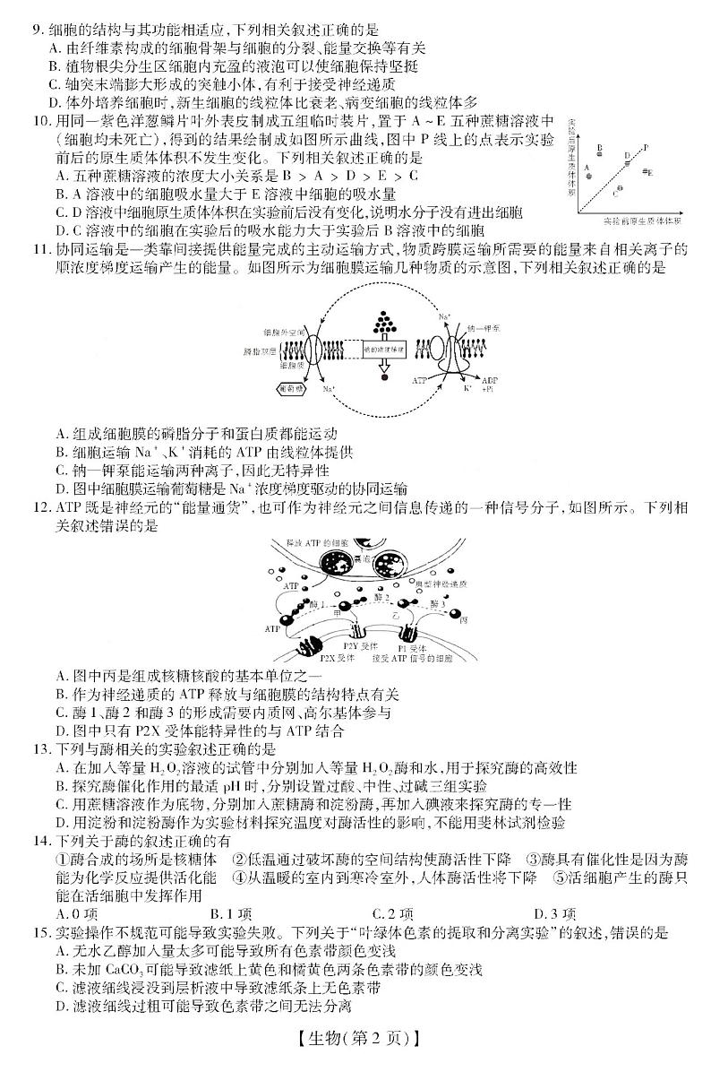 2021涡阳县育萃高级中学高三上学期10月月考生物试卷PDF版含答案第2页