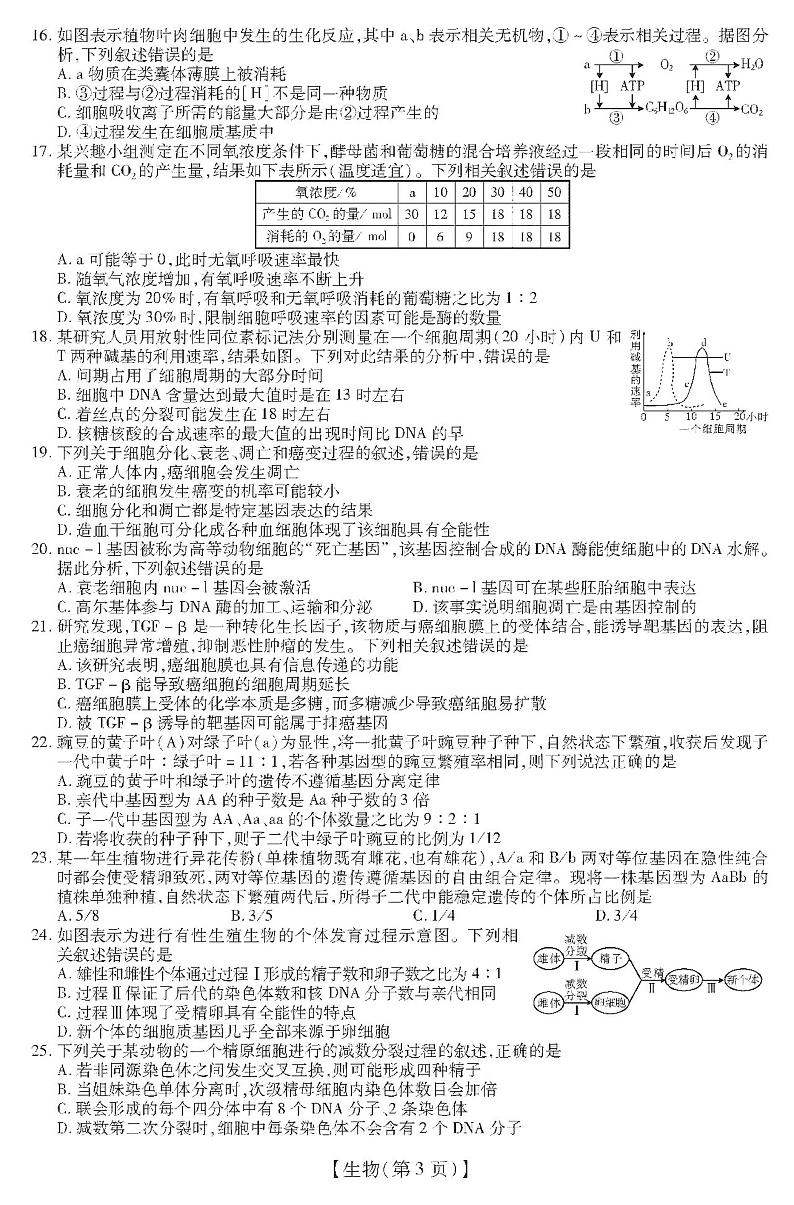 2021涡阳县育萃高级中学高三上学期10月月考生物试卷PDF版含答案第3页