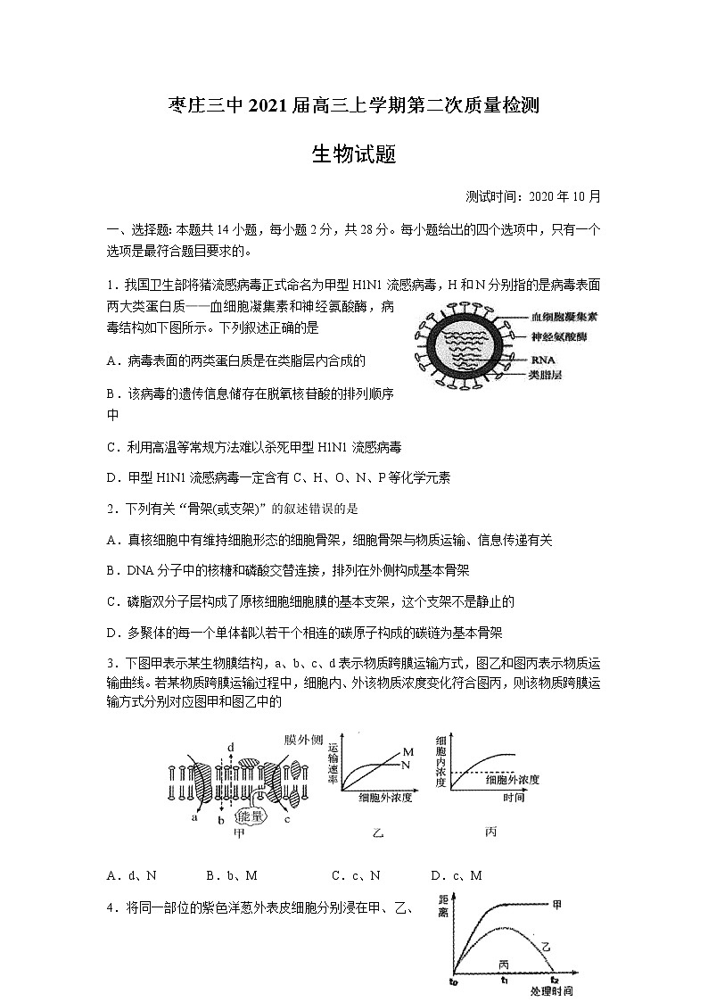 2021枣庄三中高三上学期第二次质量检测生物试题含答案01