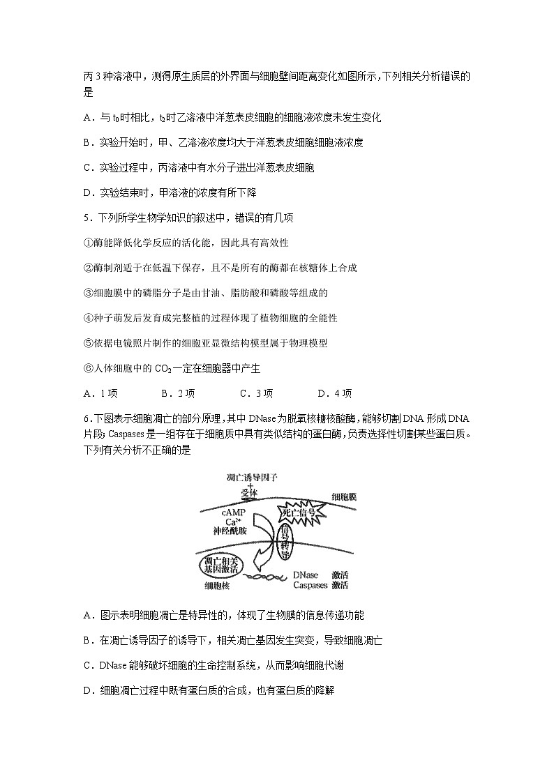2021枣庄三中高三上学期第二次质量检测生物试题含答案02