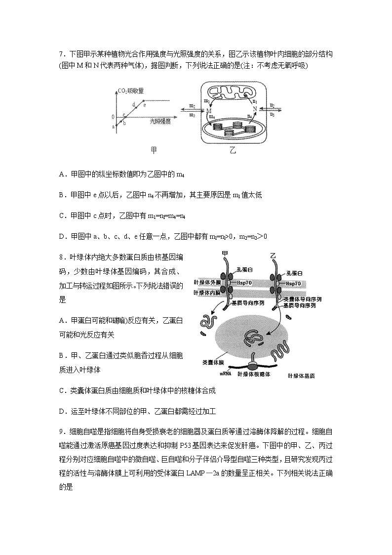 2021枣庄三中高三上学期第二次质量检测生物试题含答案03