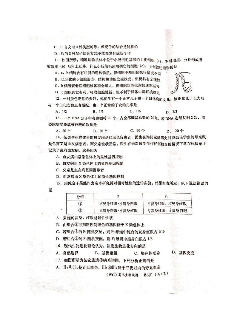 2021咸阳武功县高三第一次质量检测生物试题扫描版含答案03