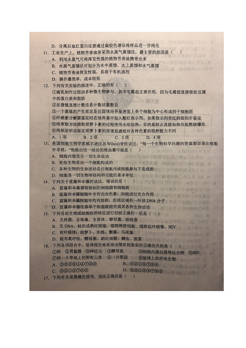 2021六安一中高三上学期第二次月考生物试题扫描版含答案第3页